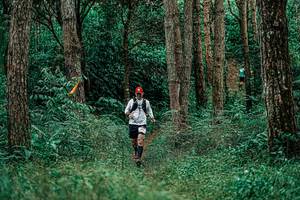 BIB: 
                            <button type="button" onclick="openModal(25237522)" class="btn btn-primary btn-sm float-right btn-popup" data-toggle="modal" data-target=".modal-high-quality">
                        <i class="fas fa-shopping-cart"></i> Add to Cart
                    </button>
                                            <button type="button" onclick="isThisMe(25237522, true)" class="btn btn-success btn-sm float-right btn-popup btn-isme hidden" data-toggle="tooltip" data-placement="bottom" title="นี่คือรูปของคุณใช่ไหม คลิกที่นี่เพื่อเอาเข้าอัลบั้ม">
                        <i class="fas fa-plus"></i> Add to album
                    </button>
                    <button type="button" onclick="isThisMe(25237522, false)" class="btn btn-warning btn-sm float-right btn-popup btn-isnotme hidden">
                        <i class="fas fa-ban"></i> Remove from album
                    </button>